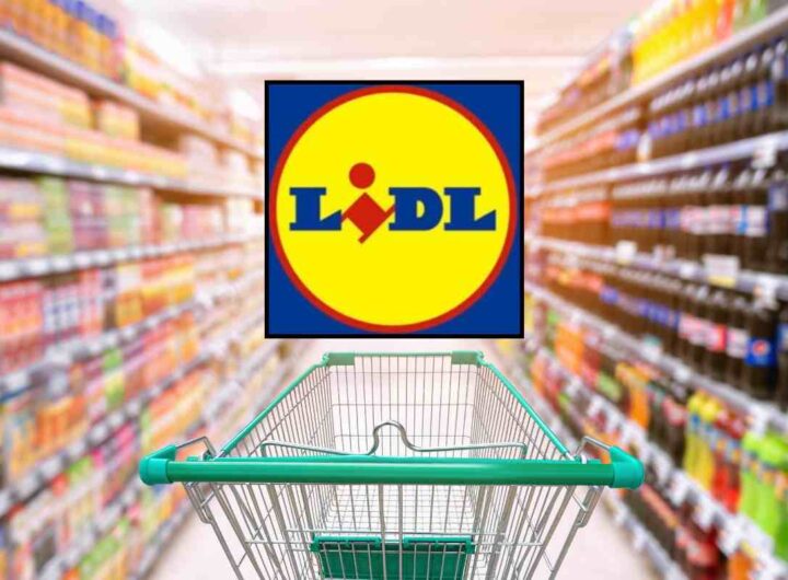 lidl grandi marchi chi li produce