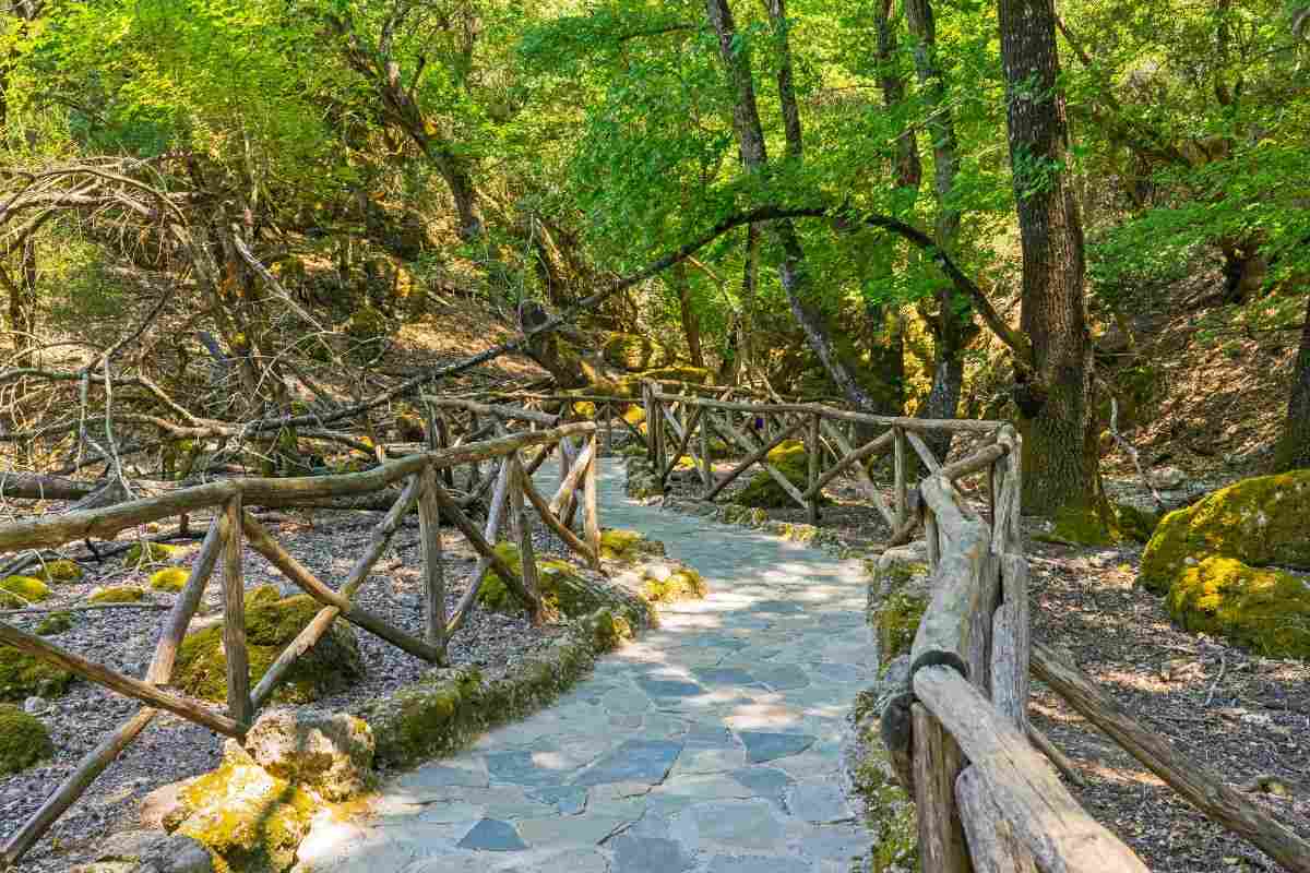 valle delle farlalle: scoprila sull'isola di Rodi