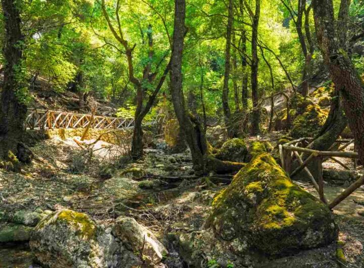 valle delle farlalle: scoprila sull'isola di Rodi